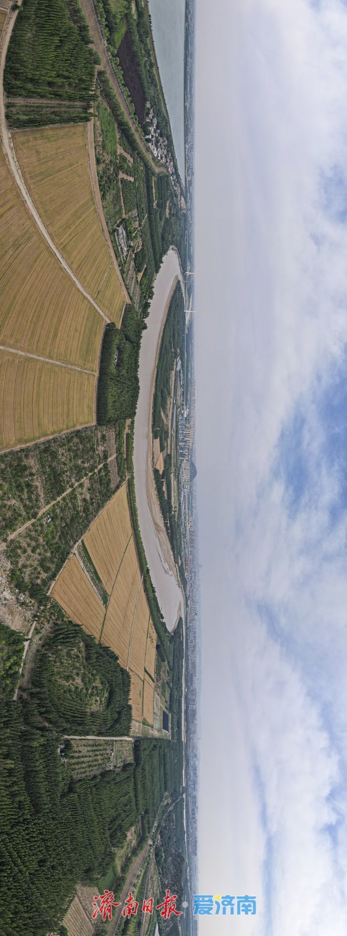 一年四季 泉在济南丨麦浪翻金！济南黄河两岸好风光