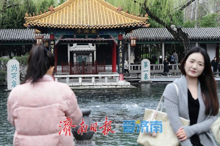 春雨润泉城花开俏争春，趵突泉畔宛如画卷引客来