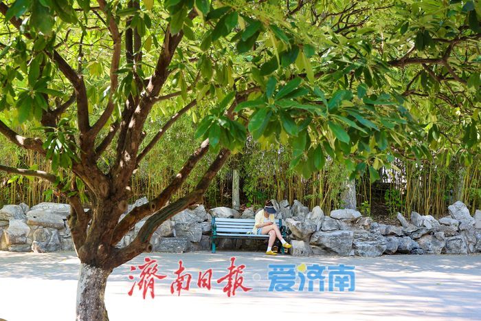 一年四季 泉在济南丨泉涌如珠映晨光 济南珍珠泉夏日清晨氛围感拉满