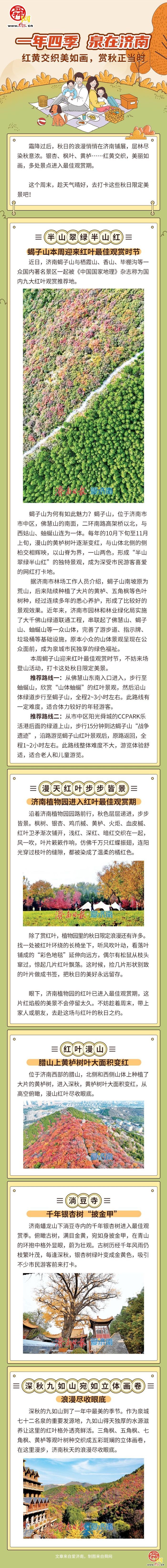一图读懂｜一年四季 泉在济南 红黄交织美如画，赏秋正当时
