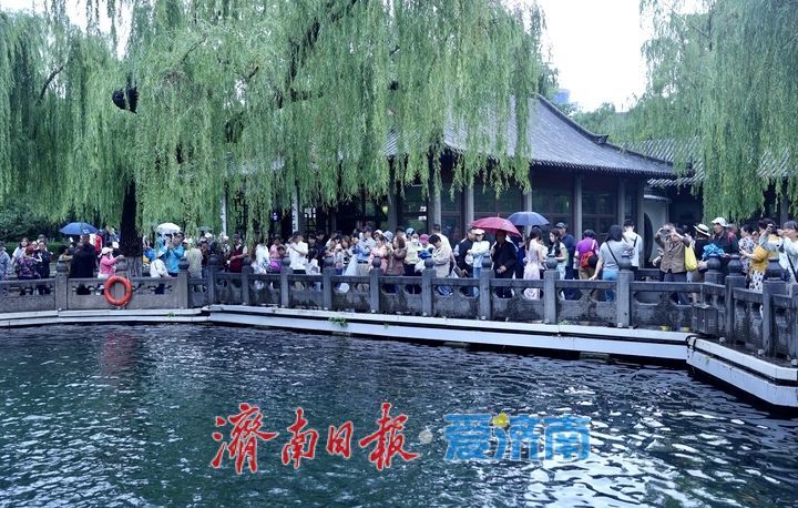 一年四季 泉在济南｜烟雨入泉城 “泉水游”热度不减