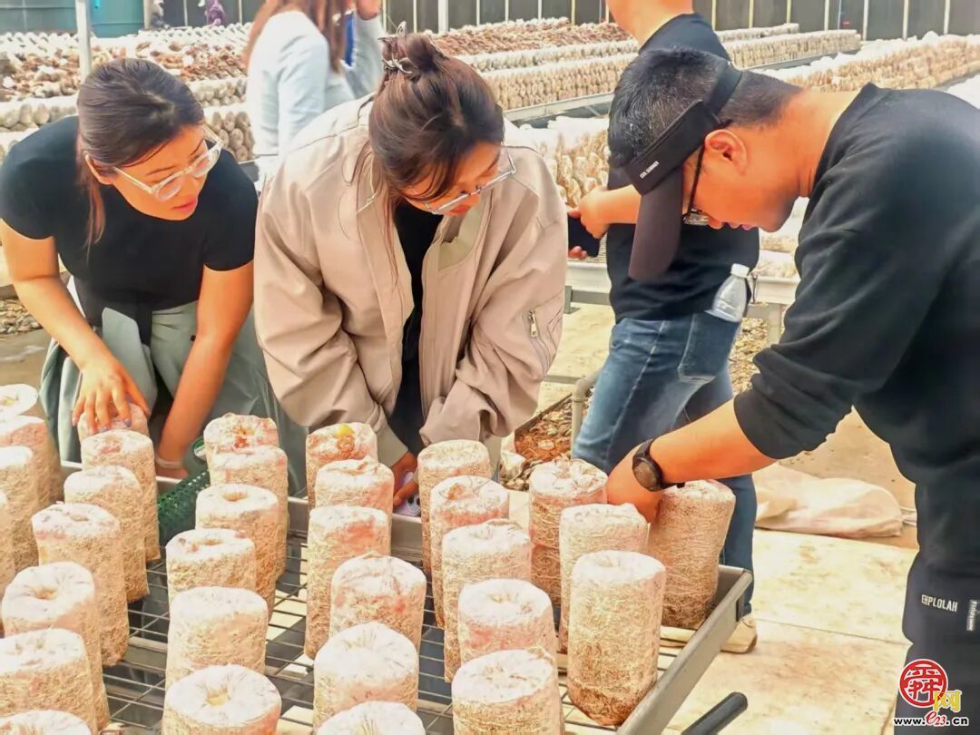 田园童趣解锁假日新欢喜 齐鲁童乡试营业燃爆泉城五一假期