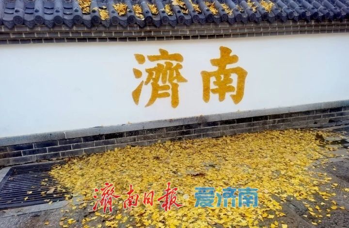 邂逅落叶的浪漫！公园景区解锁秋冬限定景色