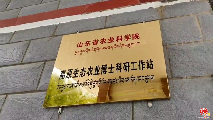 援藏科研尖兵张斌：扎根雪域高原 深耕农业科技赋能