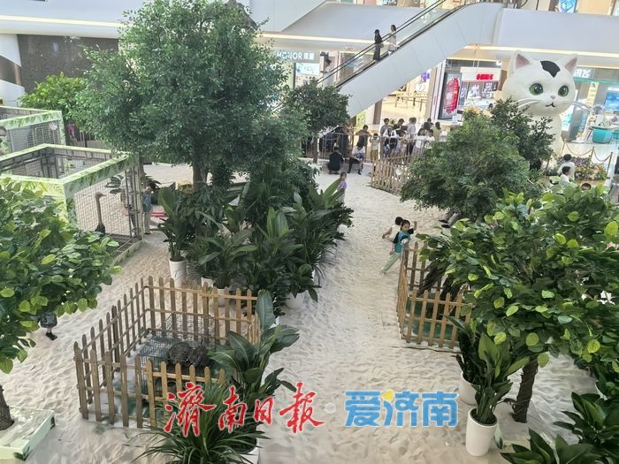 济南，商业正在“长出”新模样