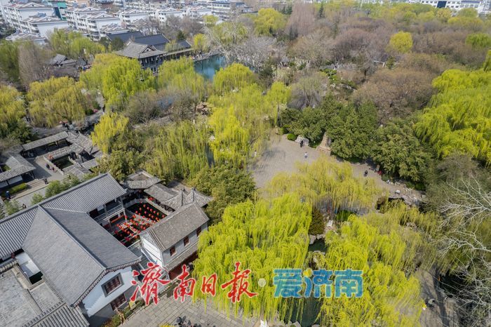 一年四季 泉在济南丨五龙潭春意上线