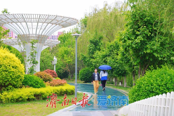 细雨润街巷 泉城雨后步步皆景