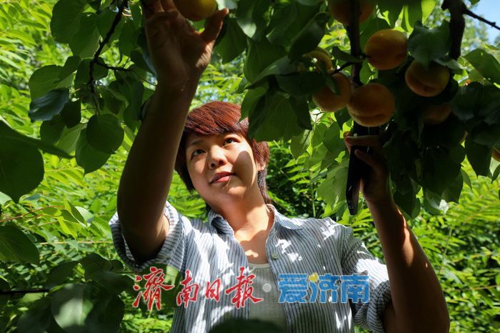 “点亮一个院 激活一个村 带动一大片”——记长清区张夏街道吴庄村党支部书记、村委会主任，“一方小院”主理人金杰