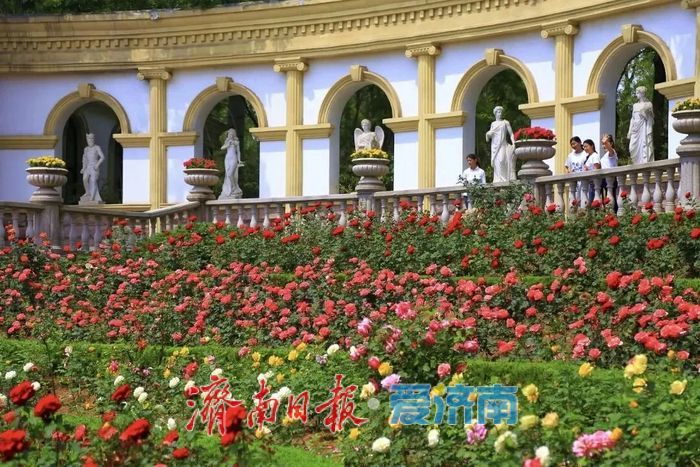 双向免票！临夏、济南文旅福利拉满，两地市民免费逛遍山水胜景