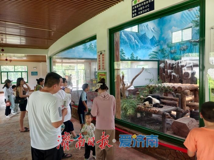 夏日游园热度攀升，济南动物园成市民休闲好去处