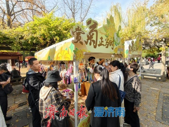 菊香引路，趵突泉畔“玉露雅集”乐享多元体验