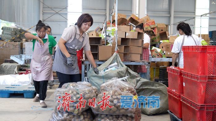 从“城市供应链”到“乡村产业链”——济南起步区新农人赵振华的二十年归途