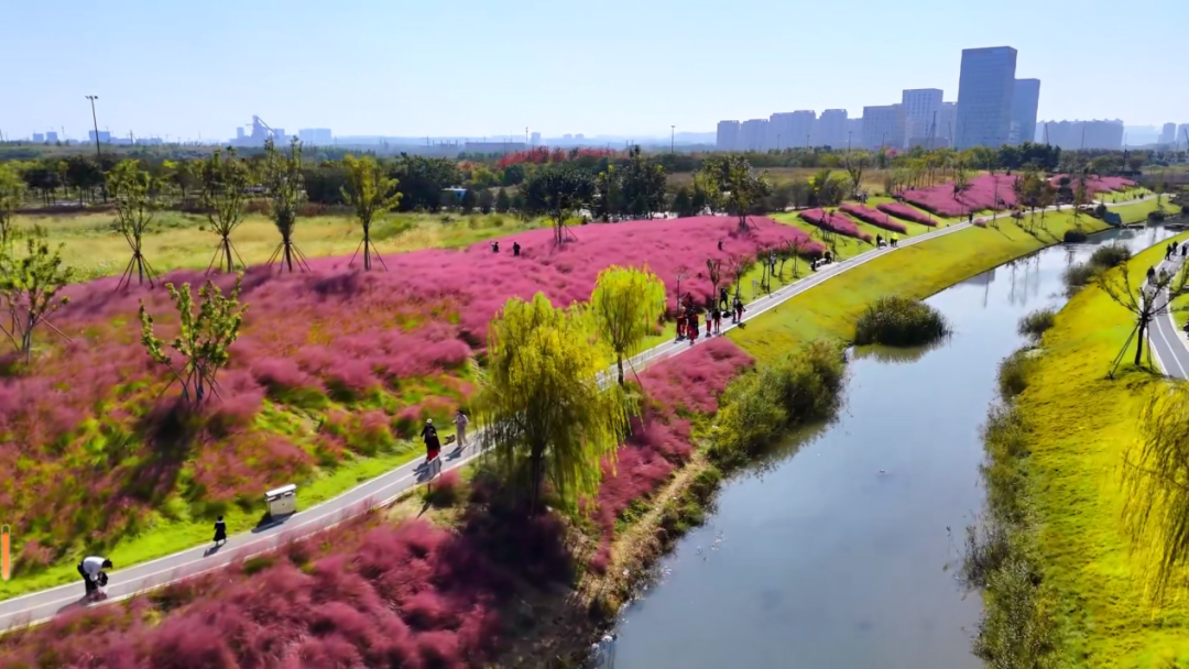 济南这条河，火了！