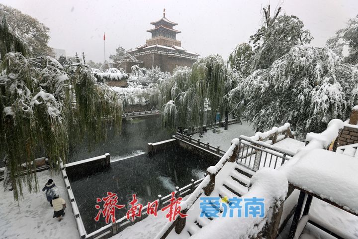 雪中黑虎泉美出诗意