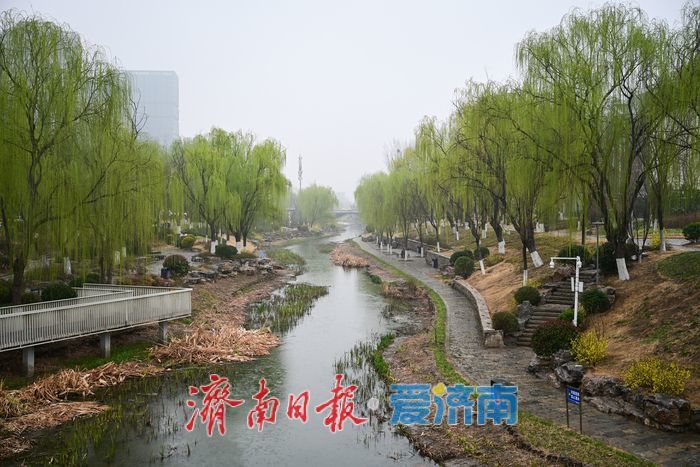 一年四季 泉在济南｜腊山河畔春来早 烟雨润得柳色新