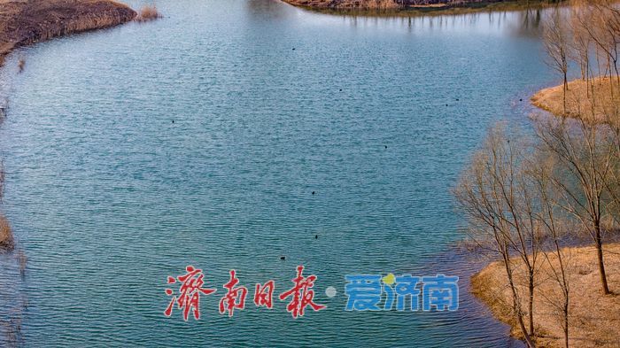 一年四季 泉在济南｜春水初生，静候知音：小清河源头“无人之境”的春日生机