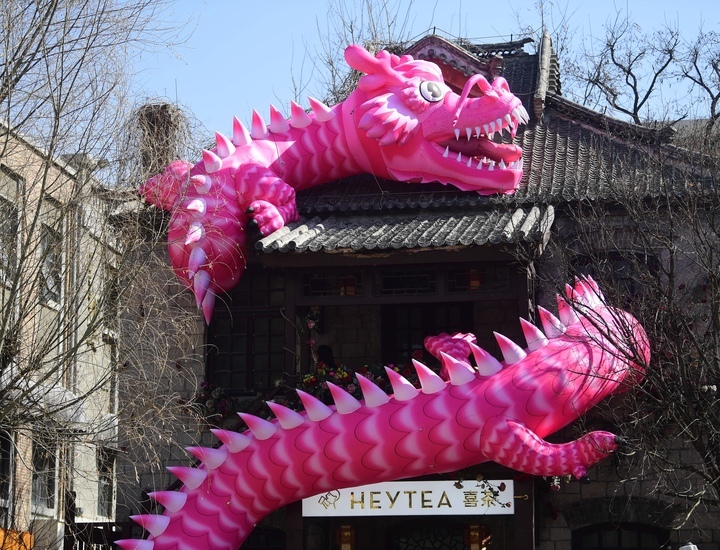 春意盎然活力足，“萌龙”亮相老商埠