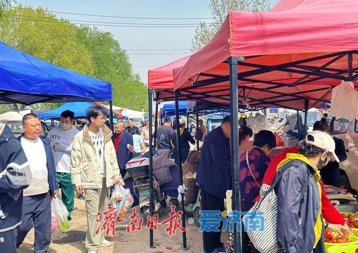 坐地铁“赶”滩头大集！香椿芽抢“鲜”上市 济南市民争相“打包春天”