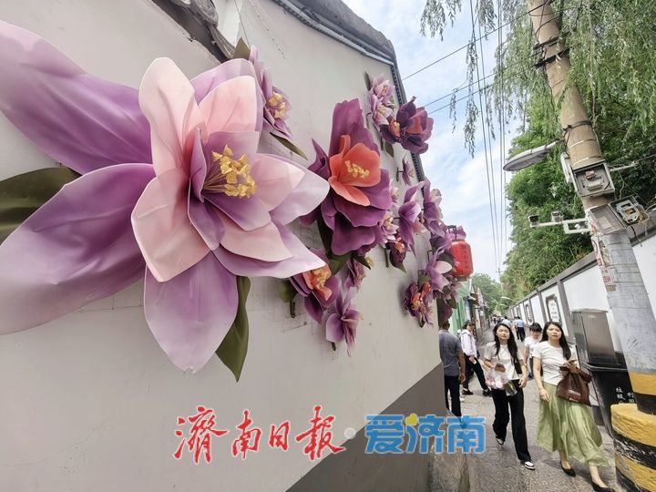 一年四季 泉在济南丨“花开满墙”，济南老街新添亮眼风景线