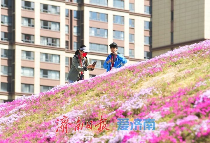 假期最后一天，济南这些地方不要错过！