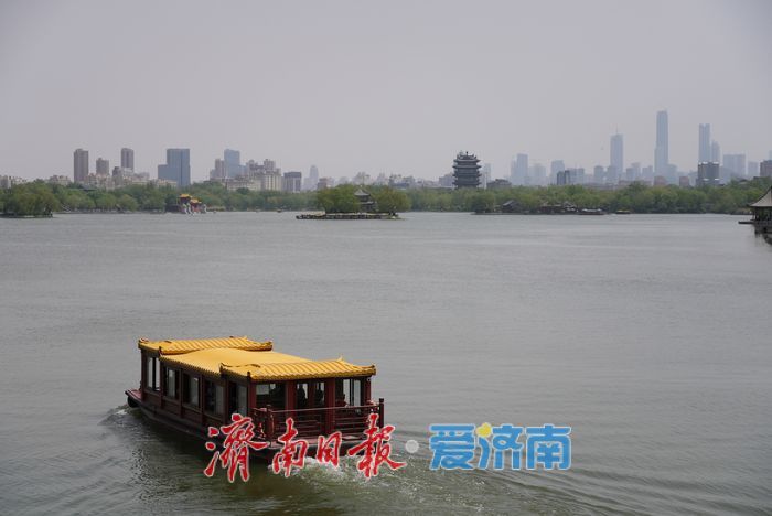 画舫悠悠柳色新，谷雨时节邂逅大明湖畔的春日诗画