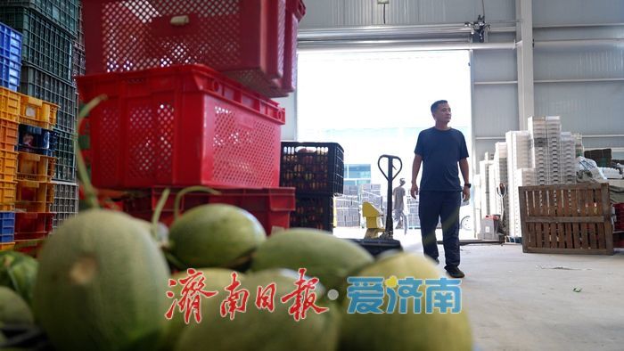 从“城市供应链”到“乡村产业链”——济南起步区新农人赵振华的二十年归途