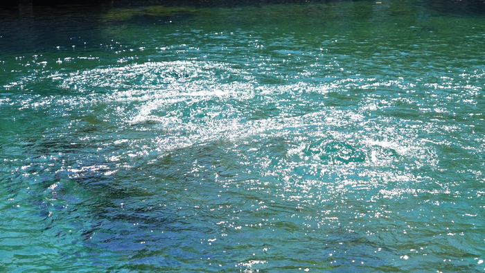 “泉”在济南过暑假｜水位“十连涨”！济南“趵突腾空”胜景重现