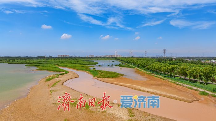 一年四季 泉在济南丨鹭鸟翩跹，玉清湖沉沙池成鹭鸟乐园