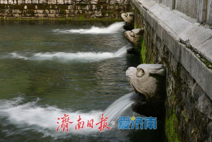 一年四季 泉在济南丨济南暑期文旅市场持续升温，泉水游成消暑必选