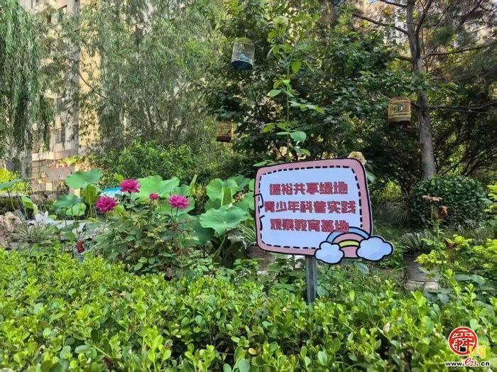 边角荒地变成邻里后花园，槐荫区德裕家园第一社区微治理“变形记”