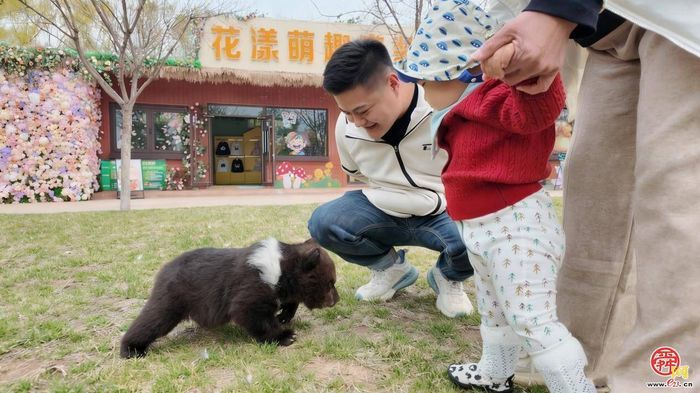 济南野生动物世界特色活动上线！第七届马戏嘉年华重磅来袭萌趣与欢乐双拉满