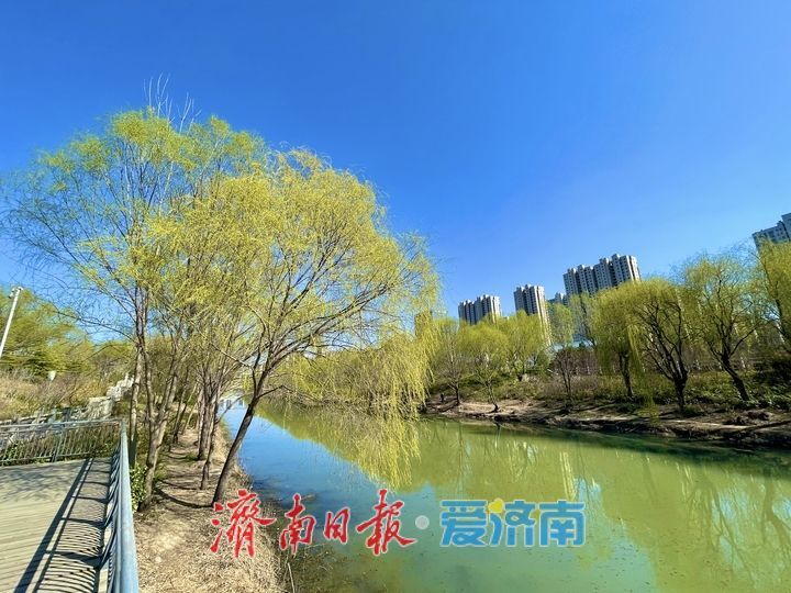 小清河春意盎然