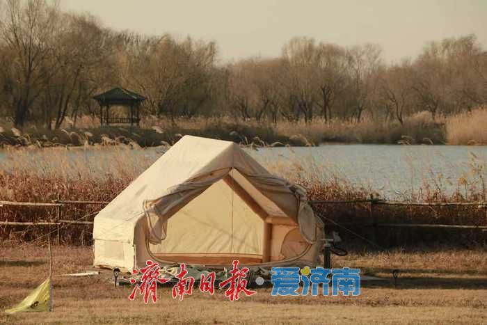 风过苇梢，湖映冬阳 济西湿地的冬日限定美好