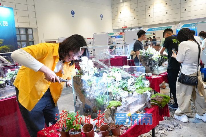 方寸之间藏天地！展会水陆缸微景观造景大赛激战正酣，高手齐聚济南