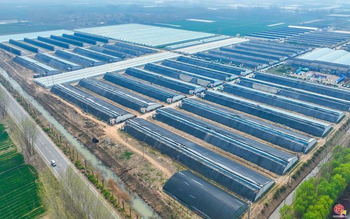 高官寨街道：“强动能 兴产业 优治理”三维驱动谱写发展新篇