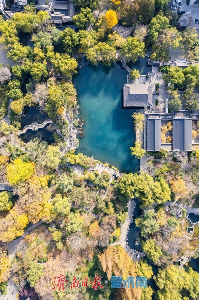 初冬时节，五龙潭公园色彩斑斓景致如画