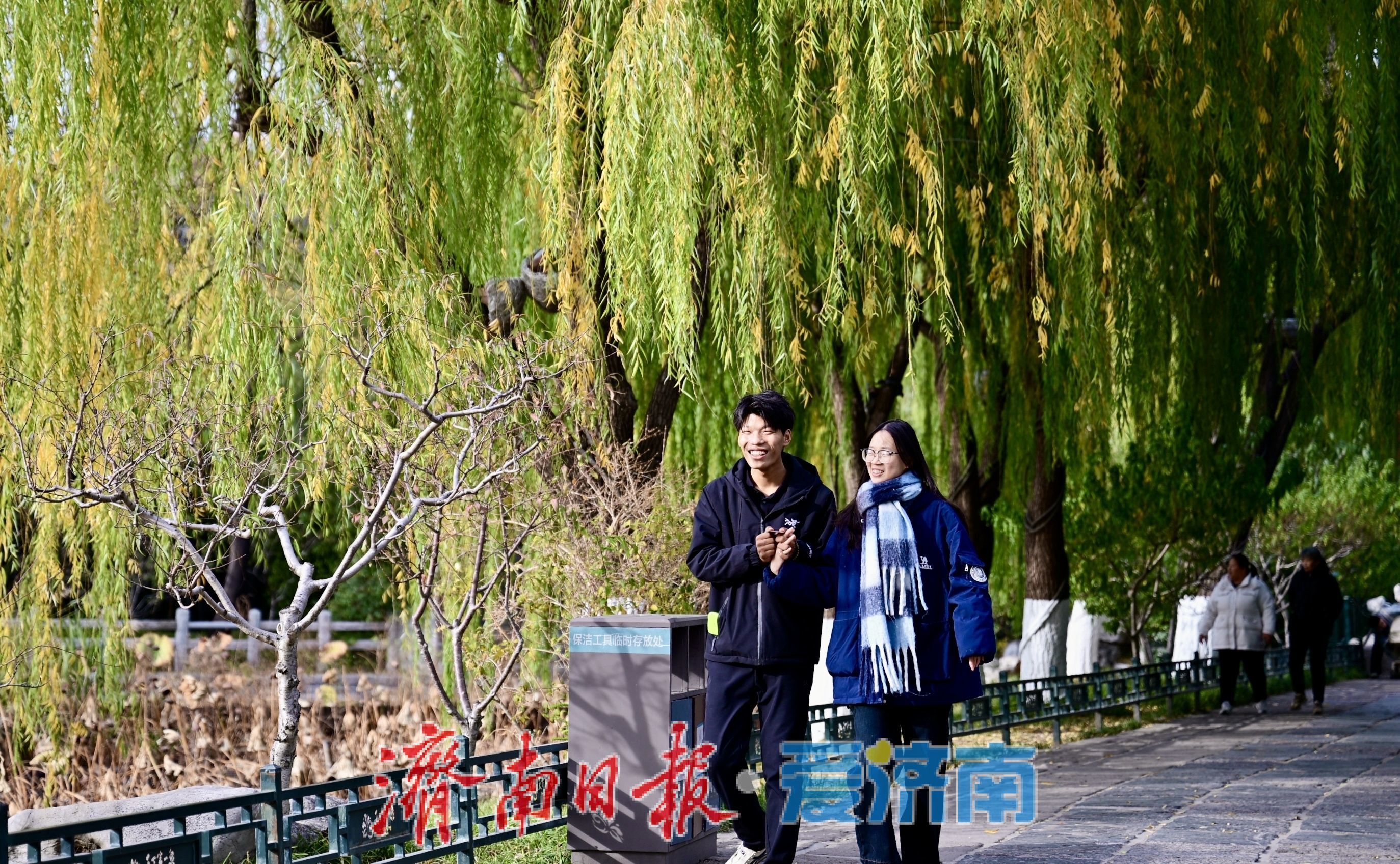 寒潮难挡游兴 大明湖初冬别具风情