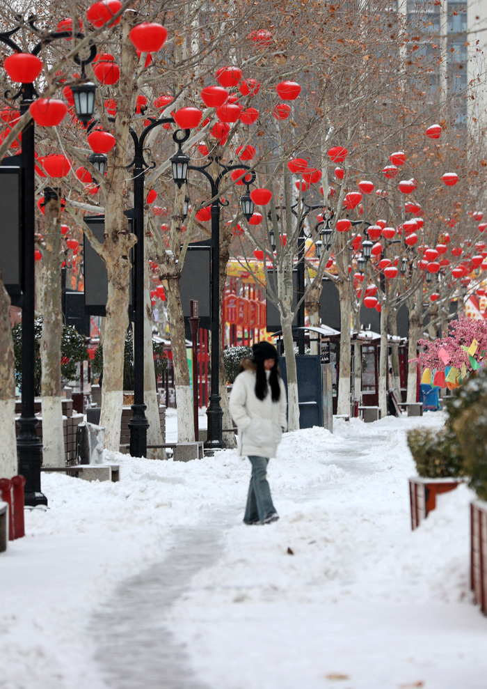 纷扬春雪润泉城 雪打花灯兆丰年