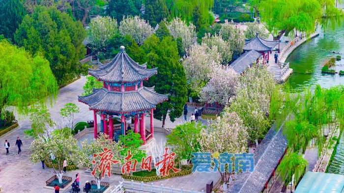 海棠盈香绕古亭 春韵满城醉明湖