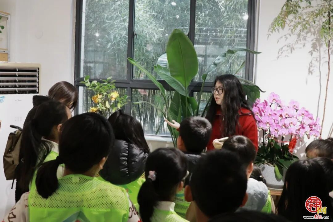 指尖塑绿意，公益暖泉城——济南泉民园艺中心联合辰星公益开展多肉DIY温暖陪伴活动