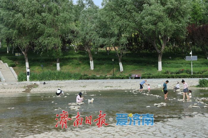 一年四季 泉在济南丨高温来袭，济南龙鼎滨水公园成市民避暑热门地