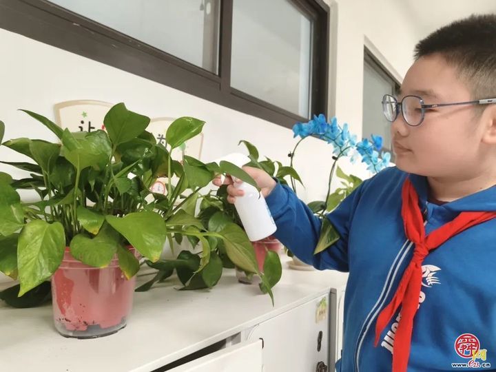 春光作序 植此新绿——济南市历下区龙奥学校植树节主题活动