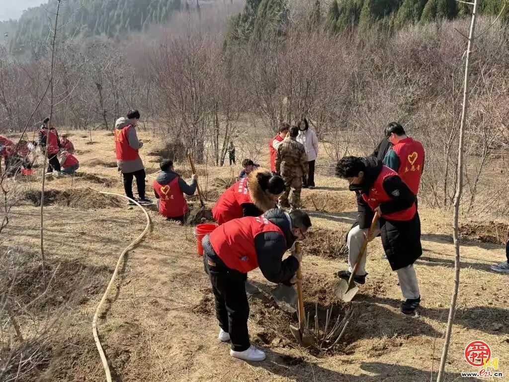 履行植树义务 共建美丽泉城 