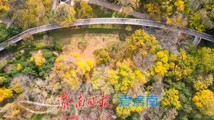 济南泉城公园冬景如画 层林尽染引客打卡