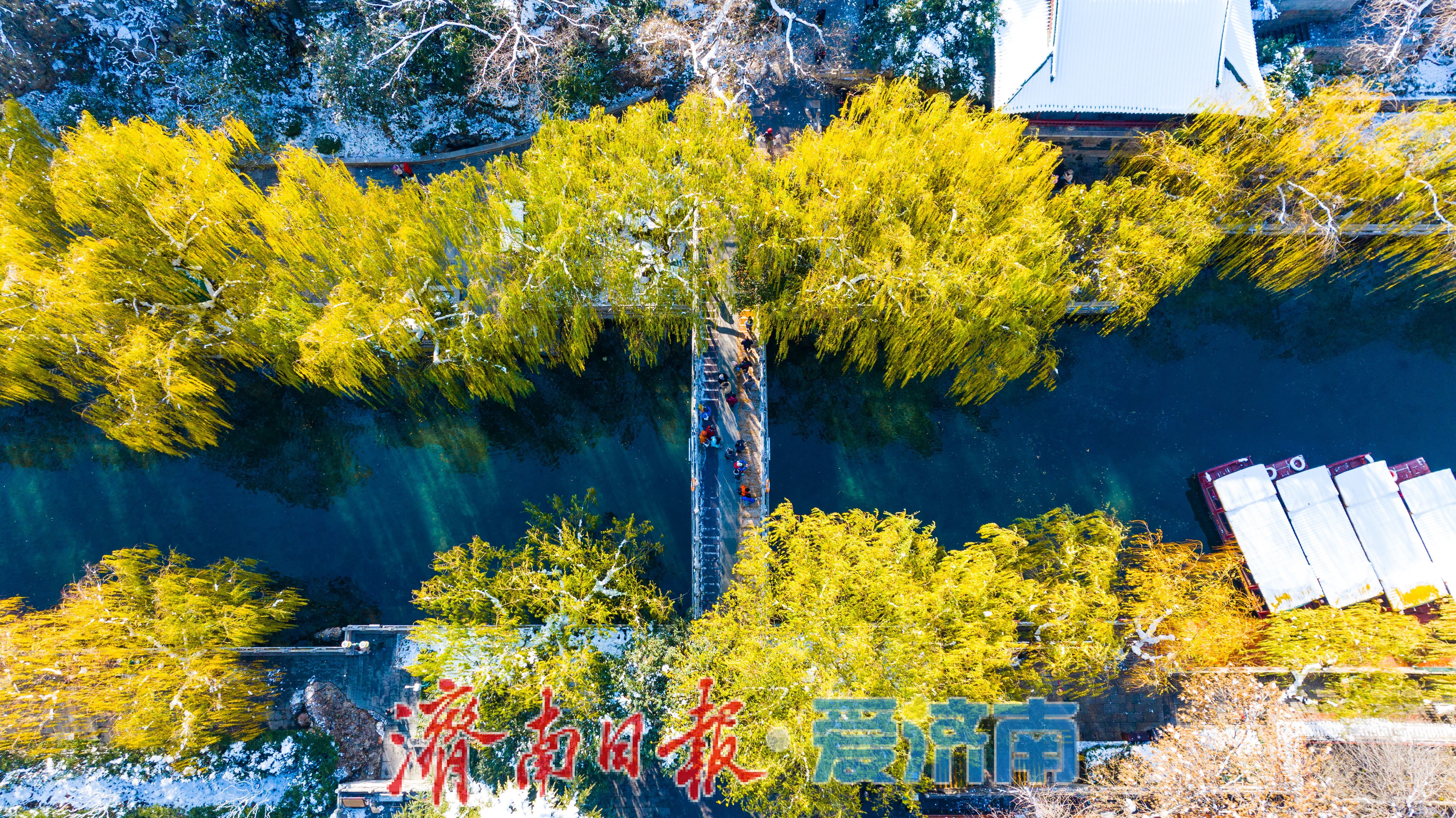 银装素裹环碧水 雪后泉城入画来