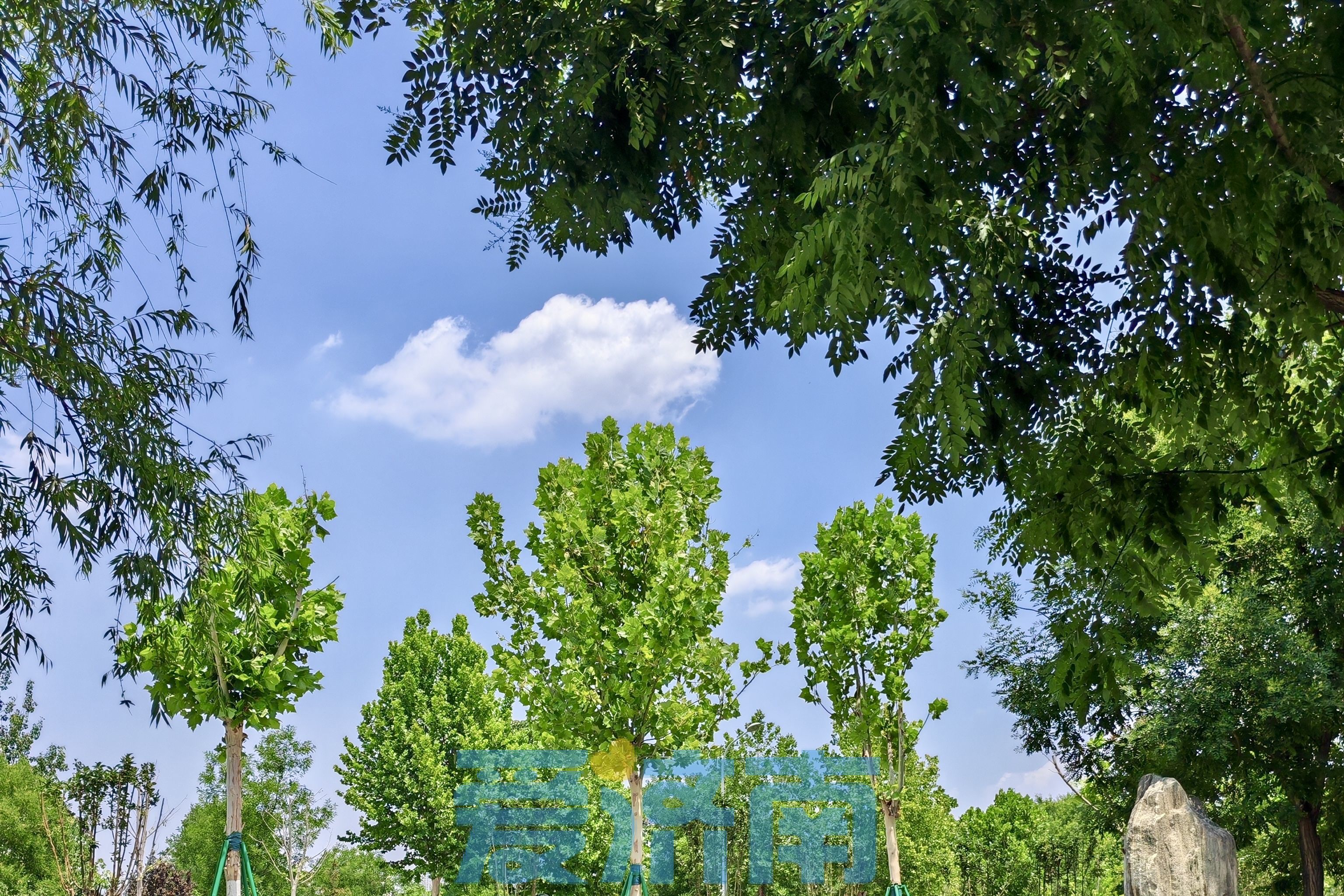 35℃卷土重来！周末两天济南晴朗在线，今夜西南部需防范雷雨大风  