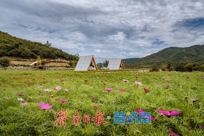 一年四季 泉在济南丨九如山：初秋生态画卷，引客共赴自然之约