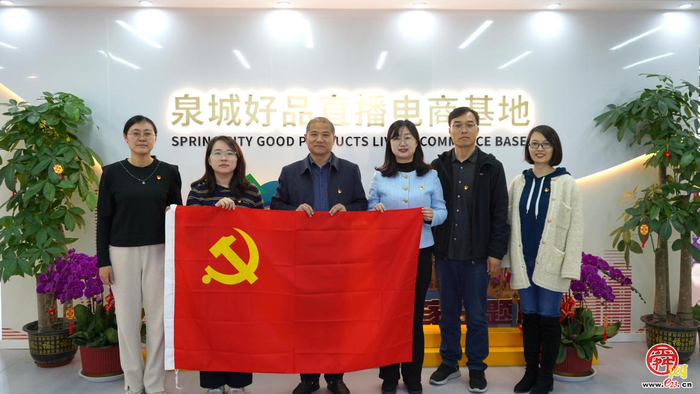 “党建赋能·电商助企”主题党日活动举行 政企联动共探产业融合发展新路径