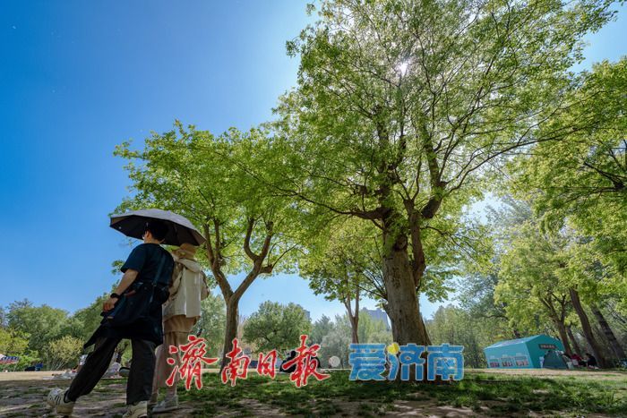 一年四季 泉在济南丨泉城春日 “调色盘” 上新！济南森林公园百花齐放，斑斓色彩扮靓天然氧吧