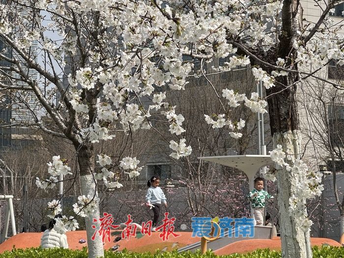 气温升至25℃ 泉城人才公园乐享春日亲子时光